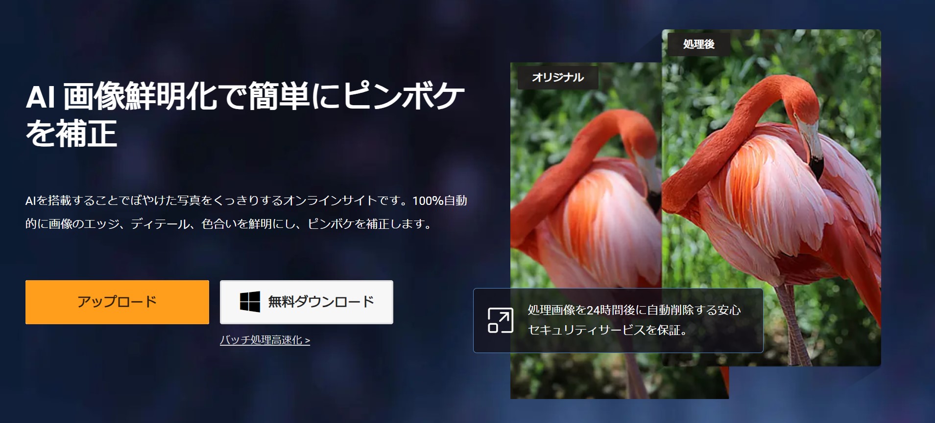 VanceAI画像鮮明化